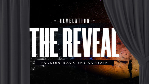 The Reveal