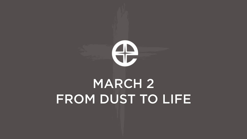 From Dust to Life Image
